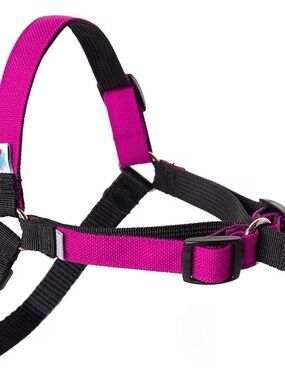 Wildebeest No Pull Dog Harness | Comfortable Training Harnesses Large